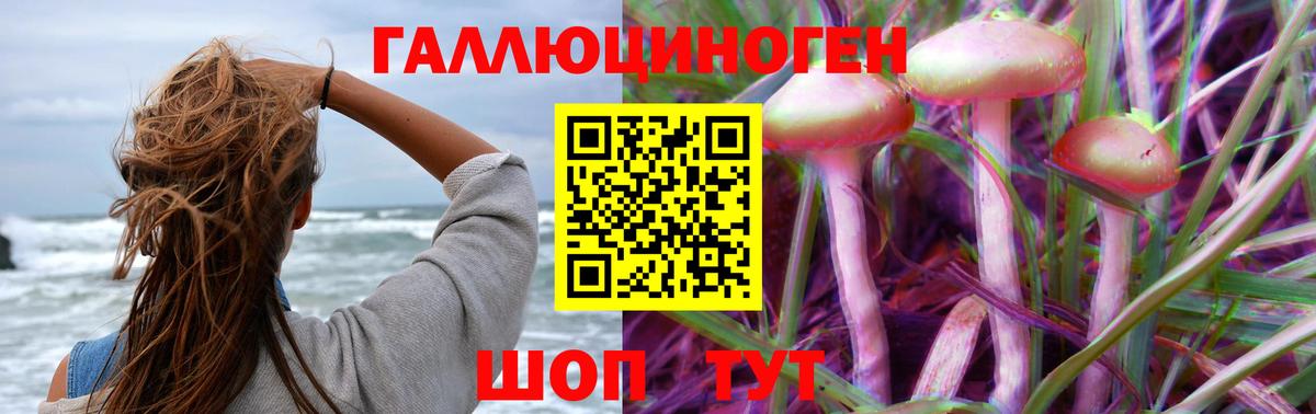 Галлюциногенные грибы Magic Shrooms  Псилоцибиновые грибы мицелий  Конаково  Вход с VPN 